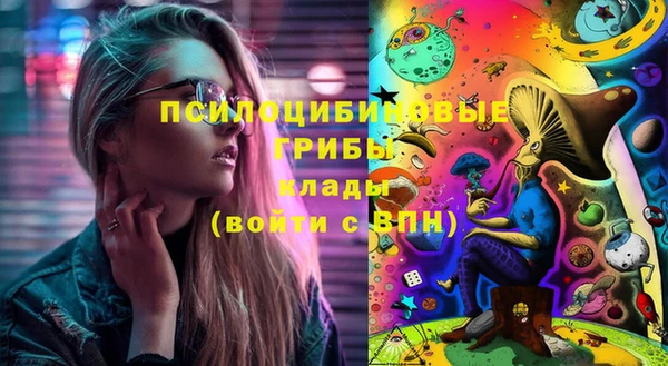 дживик Алексин