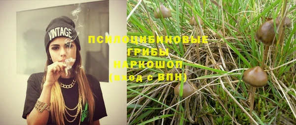 гидропоника Алексеевка